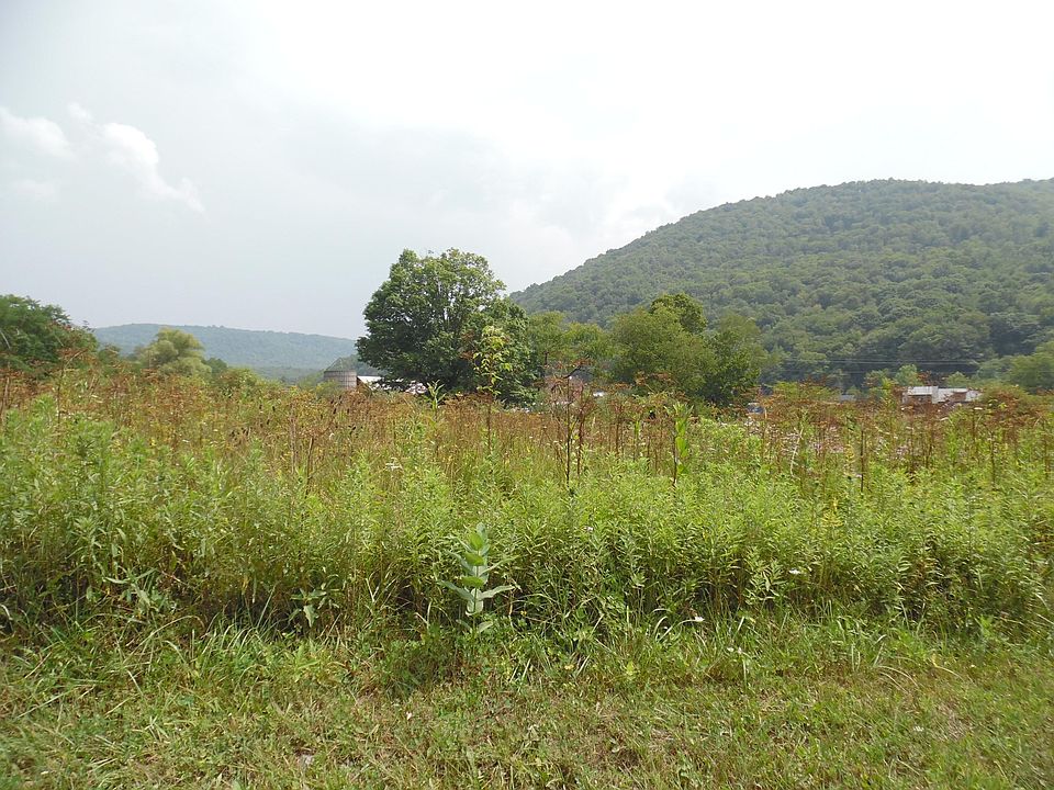180 Fassifern Fields Rd, Slatyfork, WV 26291 Zillow