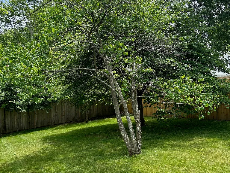 3828 McGarry Dr — Photo 12