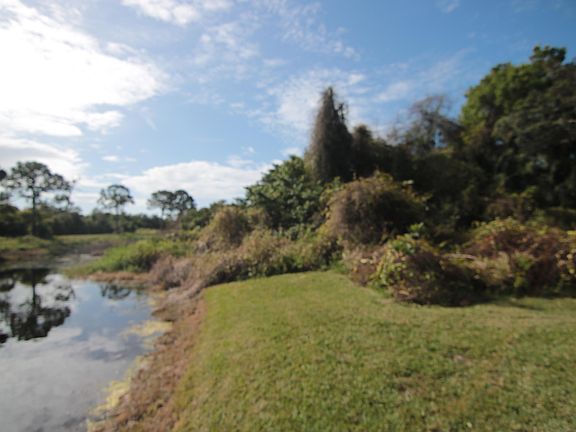 4th image of 4250 Savannahs Trl