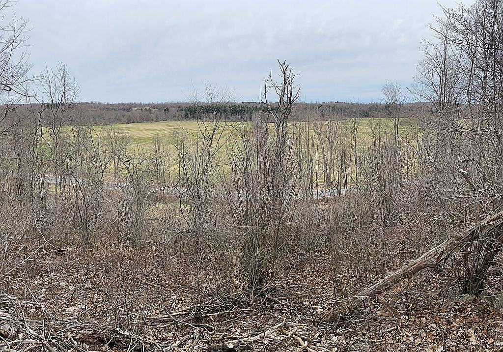 Sylvia St, Depauville, NY 13632 Zillow