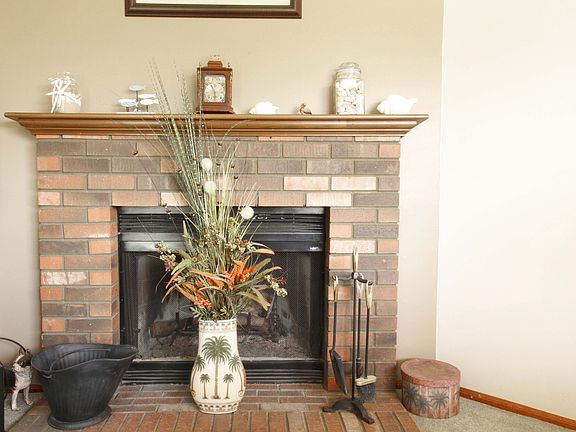 Wood burning fireplace