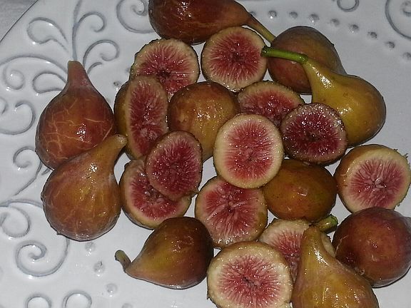 figs from back yard