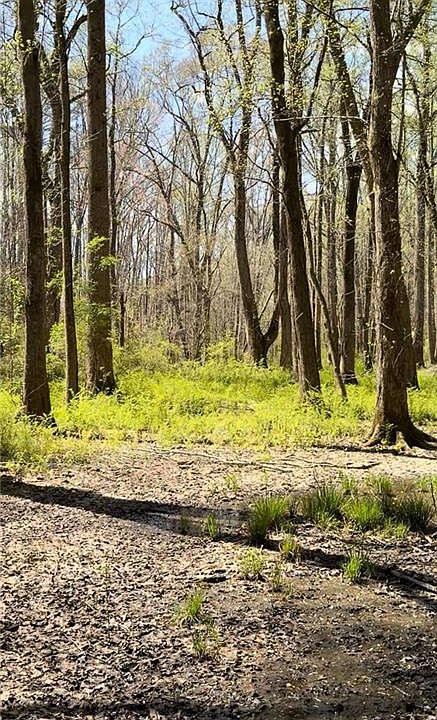 1st image of 0 Ike Stone Rd #186