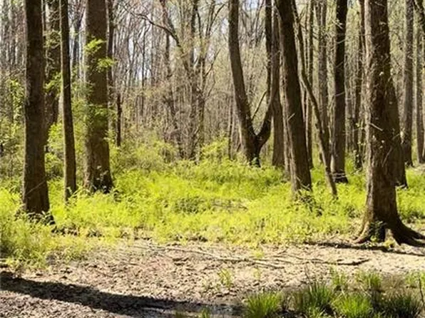 0 Ike Stone Rd #186, Monroe, GA 30656