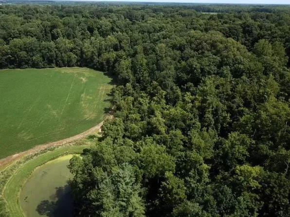 0 Stony Hollow Rd, Georgetown, OH 45121