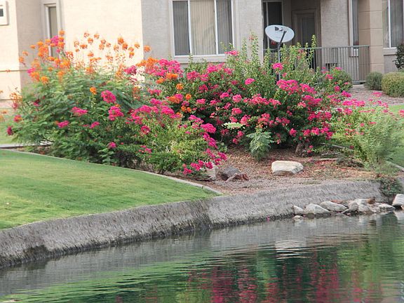 5th image of 16013 S Desert Foothills Pkwy APT 2057