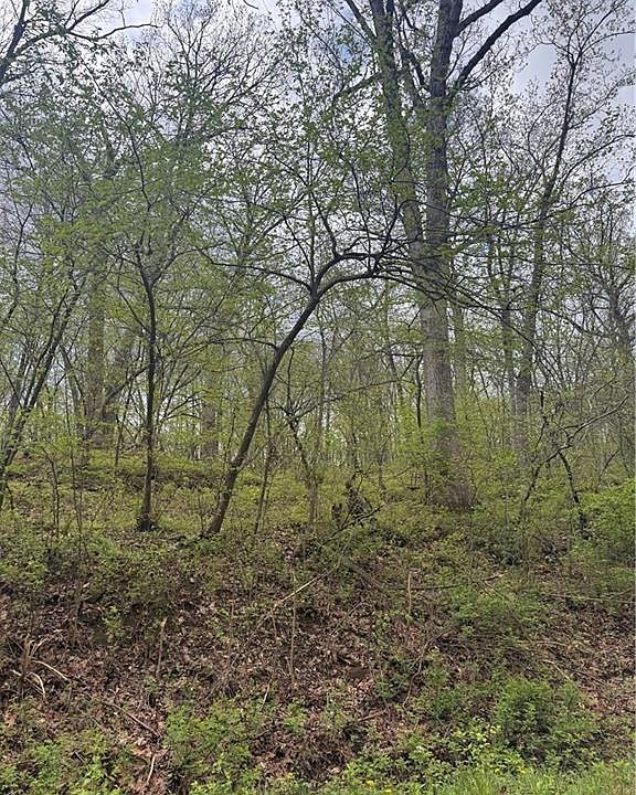 1st image of LOT 47 Park Ln #48