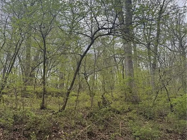 LOT 47 Park Ln #49, Oak Grove, MO 64075