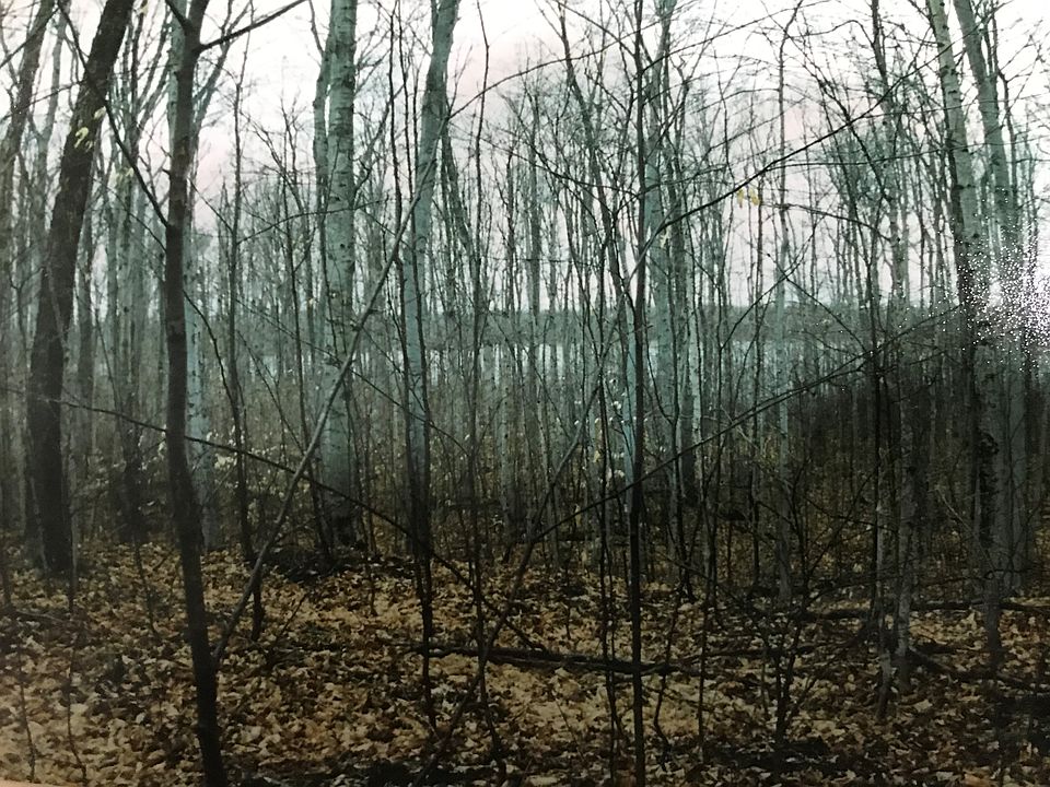2nd image of Sugar Ridge Ln #14