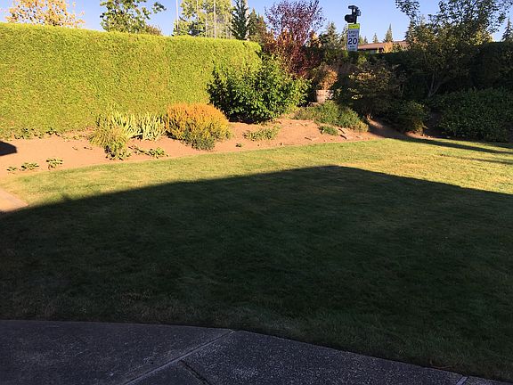 south lawn from east patio
