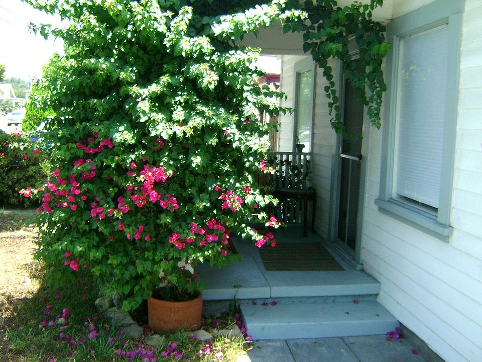 1st image of 908 E Elk Ave