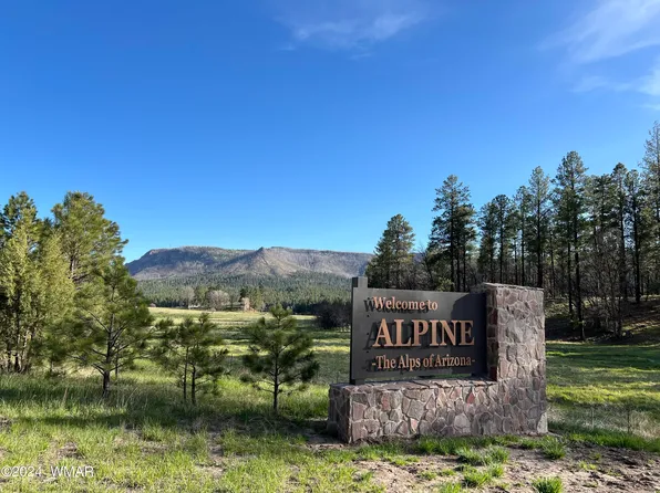 11 County Road 2074, Alpine, AZ 85920