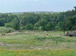 702 Paint Creek Rd, Mc Dade, TX 78650