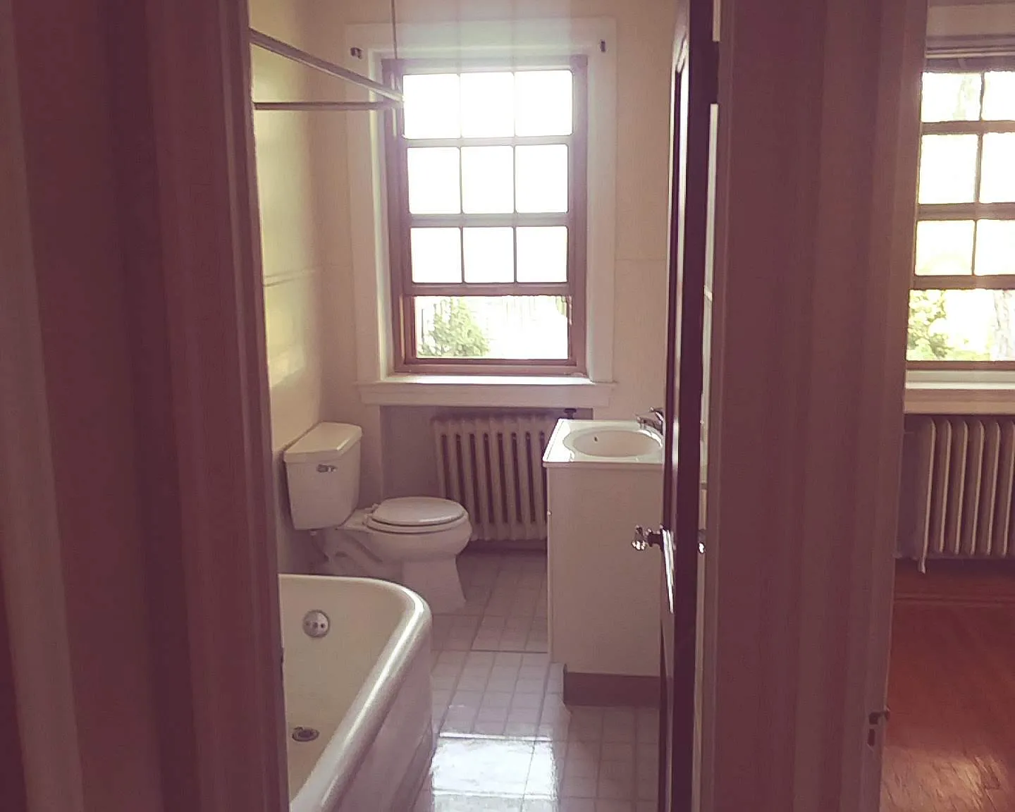 1 bed, 538 sqft, $1,575 — Photo 3