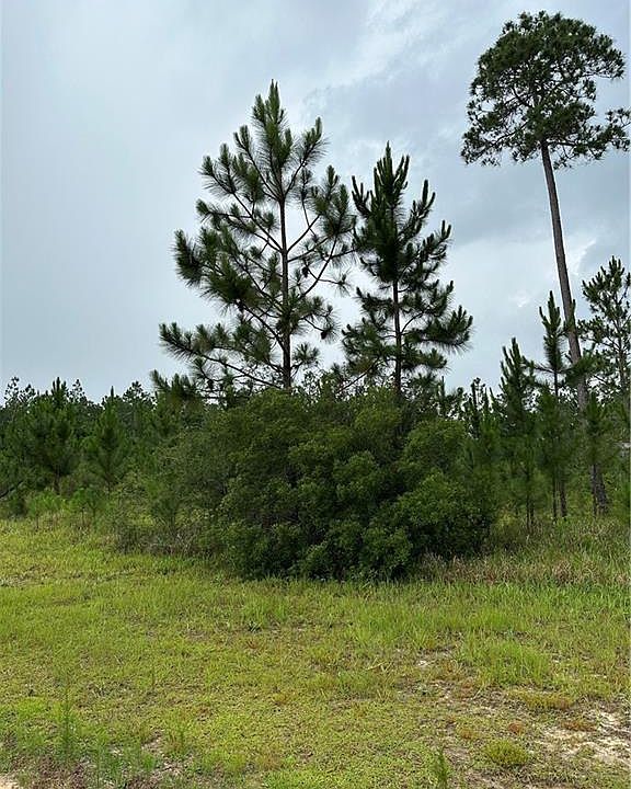 11123 Tall Timber Ln Elberta AL Zillow