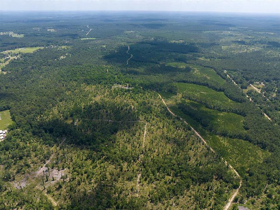 Fm 355/chita Cemetary Rd, Trinity, TX 75862 | MLS #58732989 | Zillow