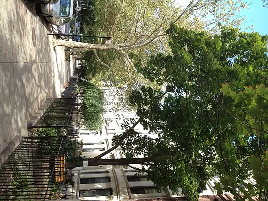 Sold by Corcoran | media 16