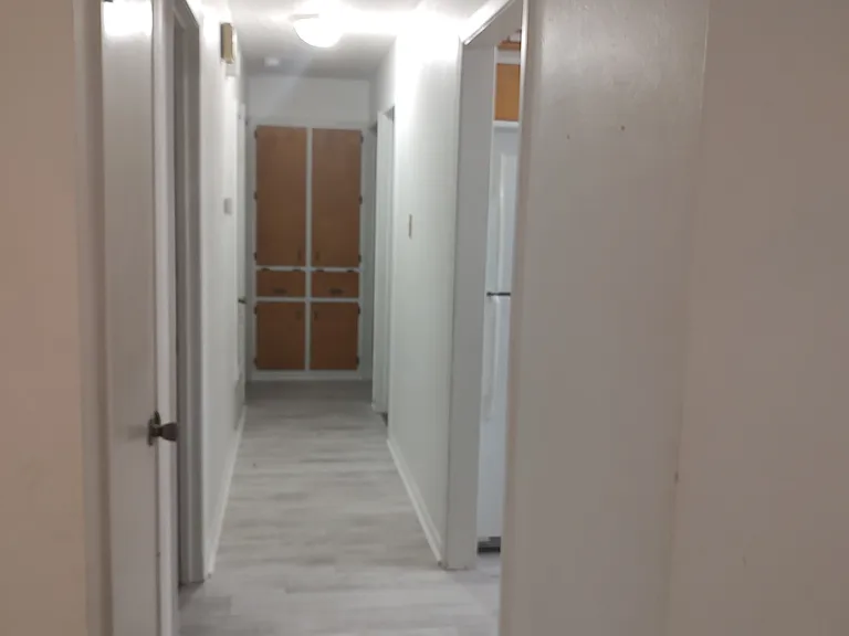 1001 Traci Dr — Photo 4