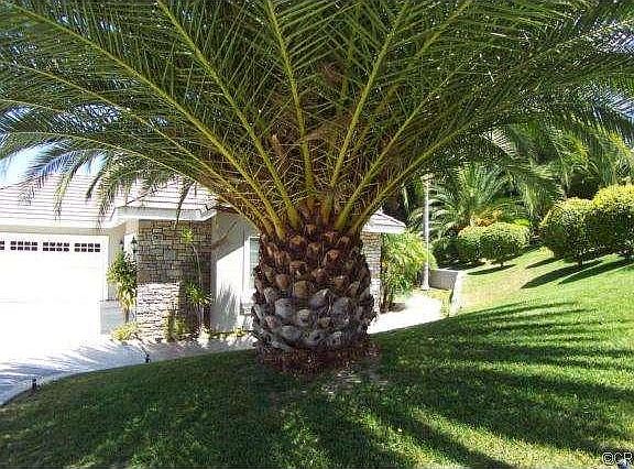 5th image of 438 S Estate Dr