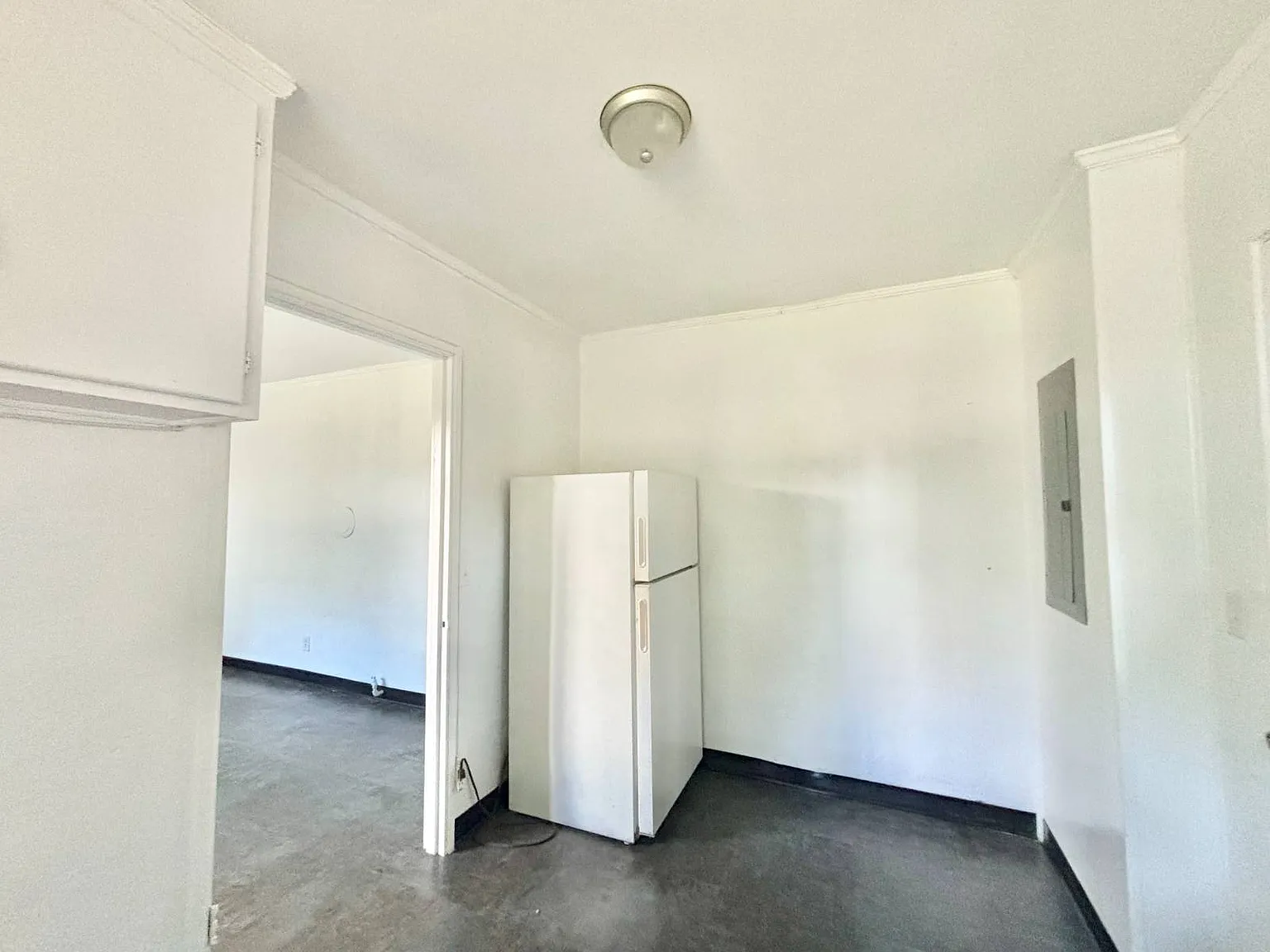 Studio, $800 — Photo 4