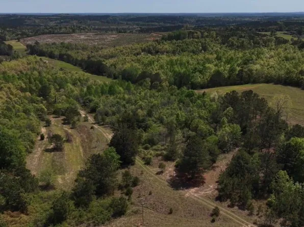 1600 County Road 125 #1, Plantersville, AL 36758