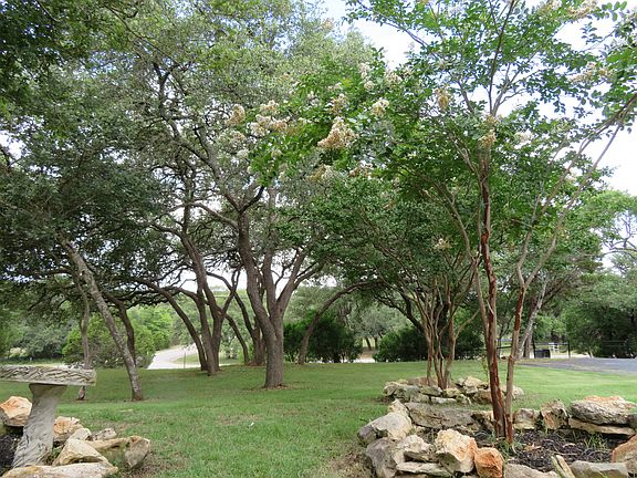 Numerous trees in front yard