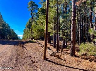 2761 Larson Loop, Forest Lakes, AZ 85931