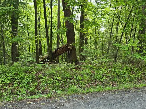 LOT 3760 Graham Ct, Ellijay, GA 30540