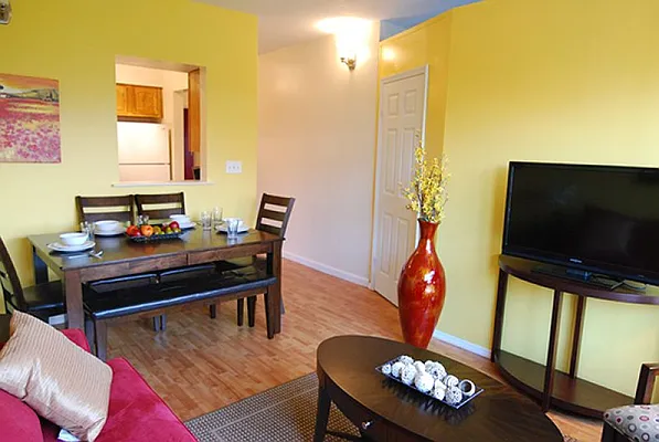 Rented by Eisenberg Exclusives | media 39