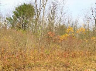 610 Wells Rd, Norwich, NY 13815