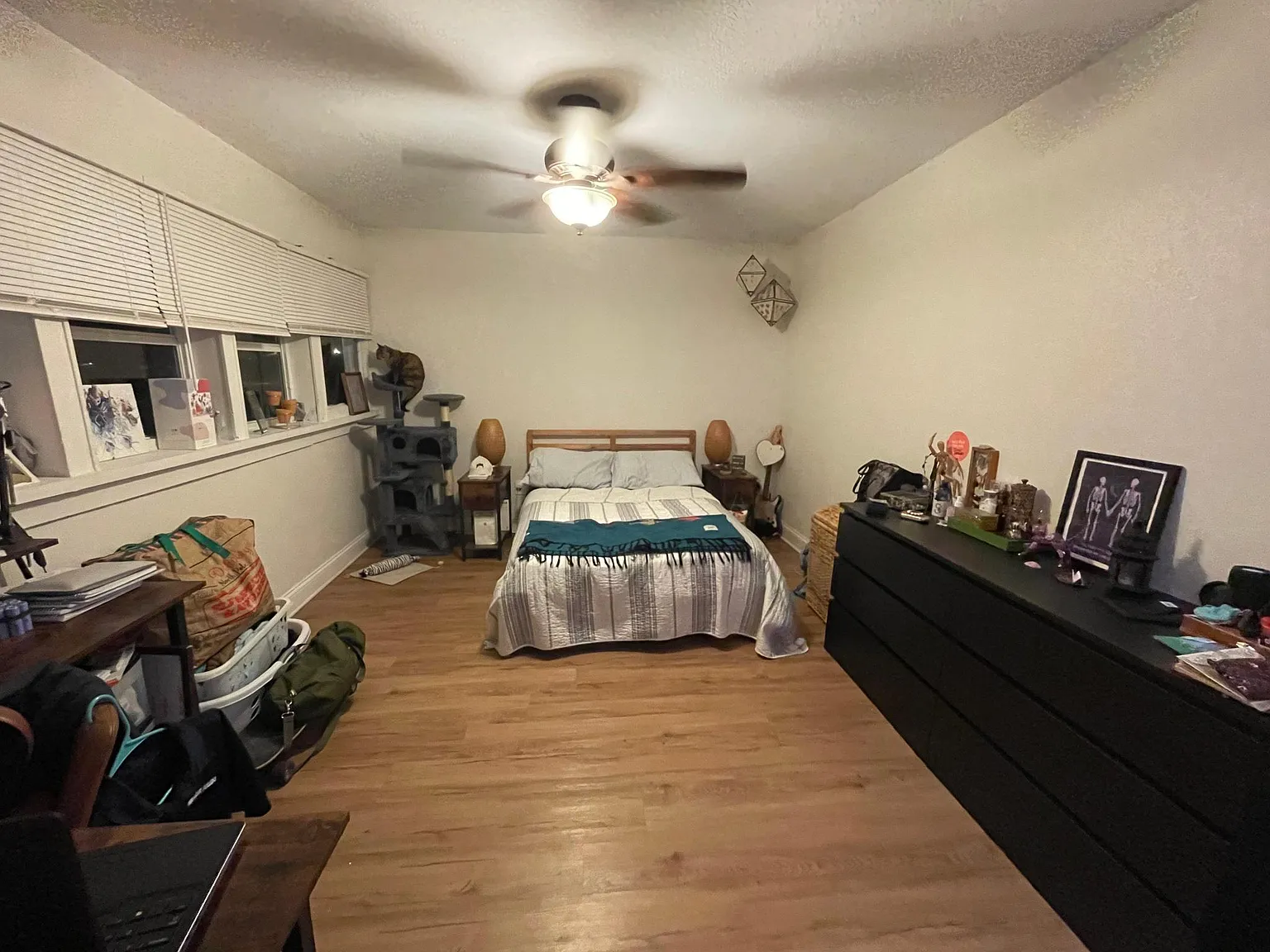 1 bed, 900 sqft, $1,250 — Photo 2