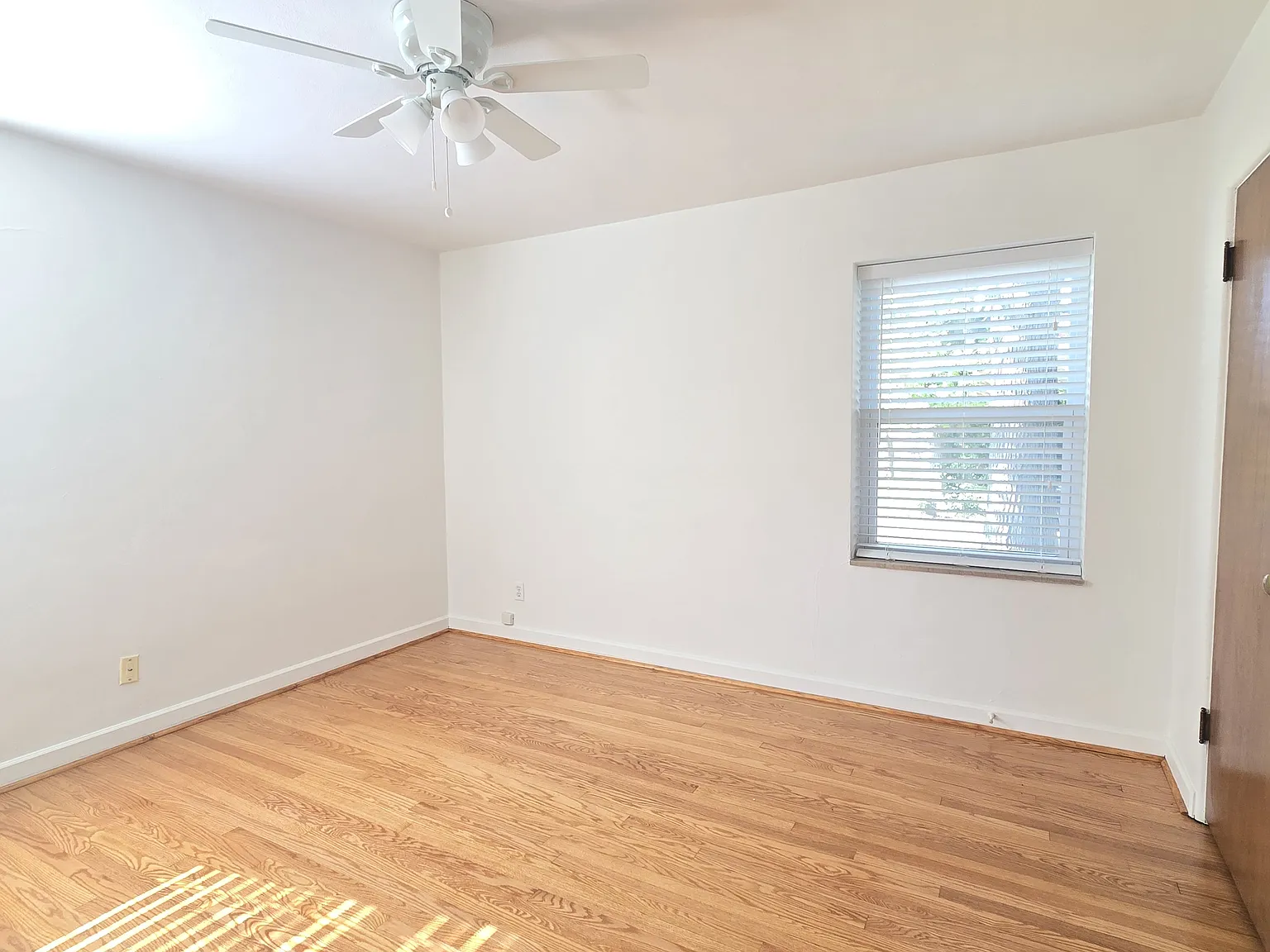 1 bed, 800 sqft, $995 — Photo 3