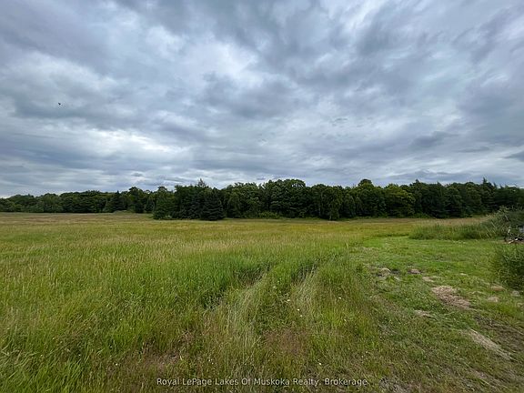 4th image of 2245 Ahmic Lake Rd