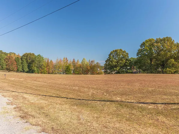 Timber Hill Dr, Finger, TN 38334
