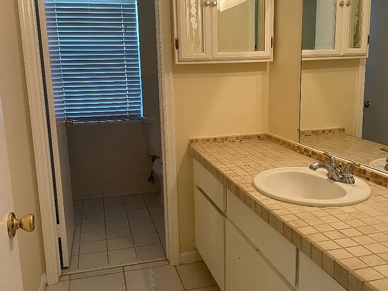 Guest Bath - Sink and Cabinets separate from toilet and shower