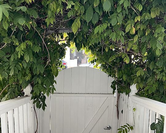 3rd image of 252 Hampton Dr APT C