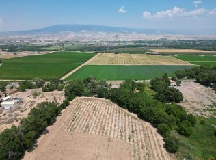 14333 Deer Run Rd, Delta, CO 81416