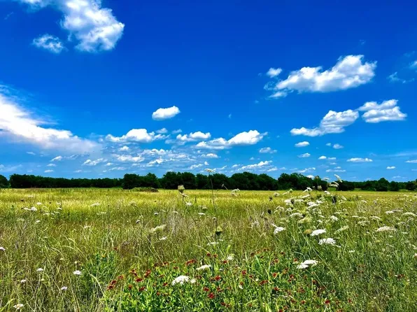 LOT 4 County Road 592, Nevada, TX 75173