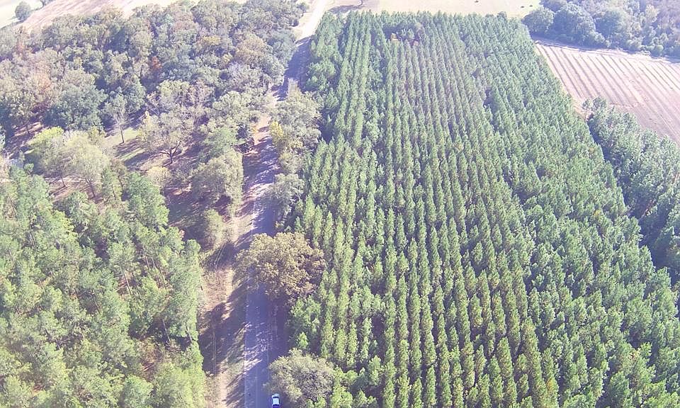1st image of 0 Guy Branch Rd