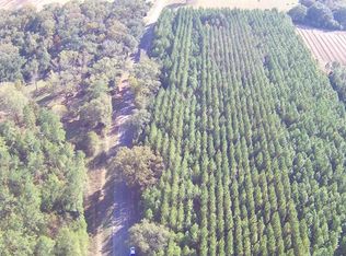 0 Guy Branch Rd, Cottonwood, AL 36320