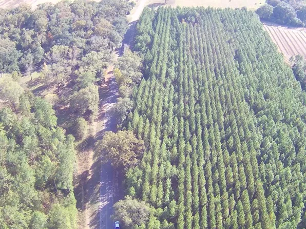 0 Guy Branch Rd, Cottonwood, AL 36320