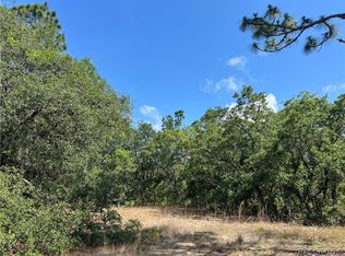 975 W Champlain Ln, Citrus Springs, FL 34434