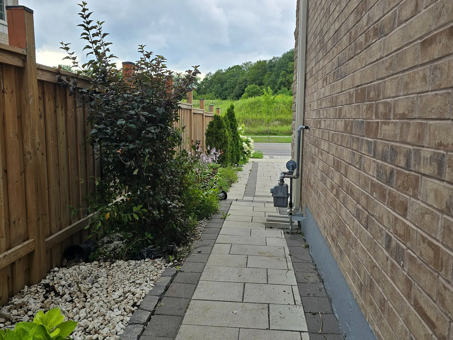 2 bed, $1,800 — Photo 3
