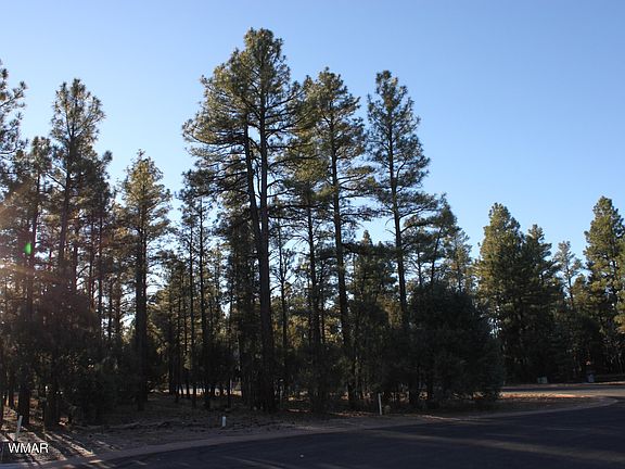 2nd image of 3300 Mariposa Ln