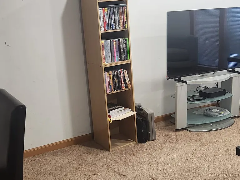 Apartment livingroom with view of blank wall area