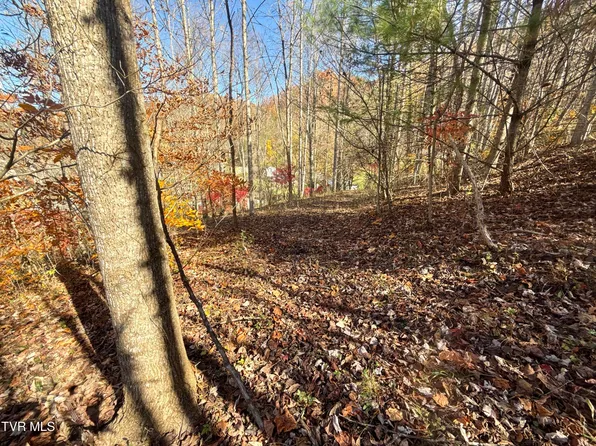 11/AC Highway 37, Hampton, TN 37658