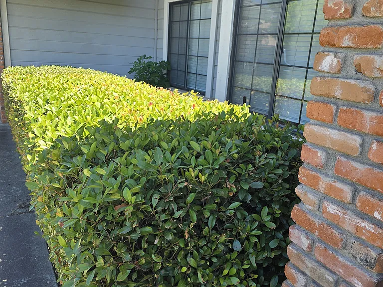 421 Community Dr — Photo 24