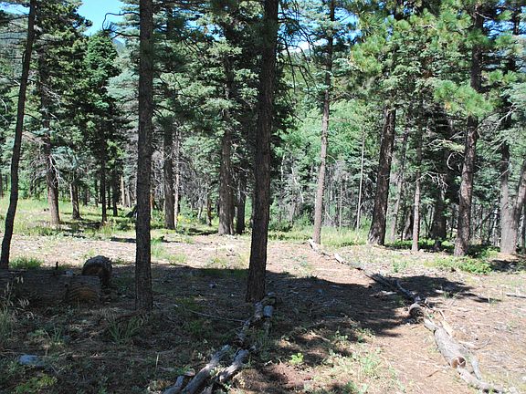 4th image of Cougar Ridge 100 101 #102
