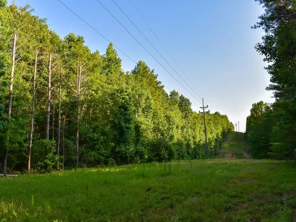 0 Hoggle Ridge Rd, Haleyville, AL 35565
