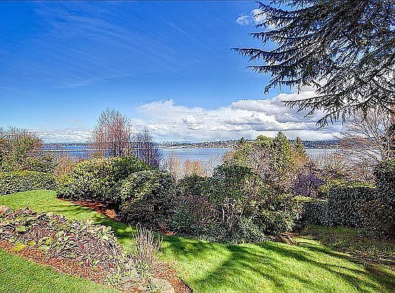 Back Yard and View